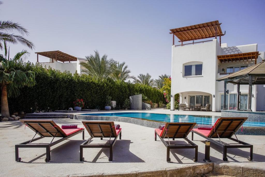 Pool & garden